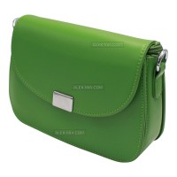 Clutch CD-9173 green